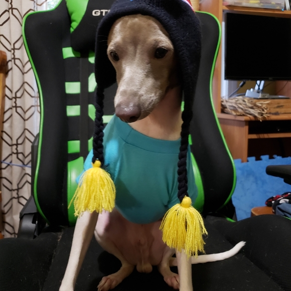 0 - Picture 10 of 11